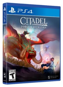 Citadel PS4 BoxArt