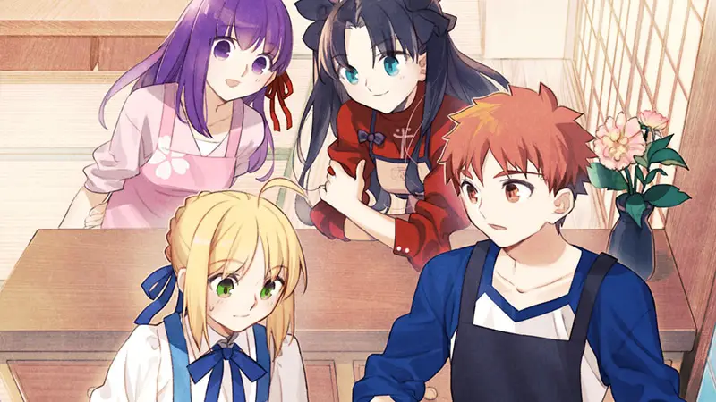 get fate stay night visual novel