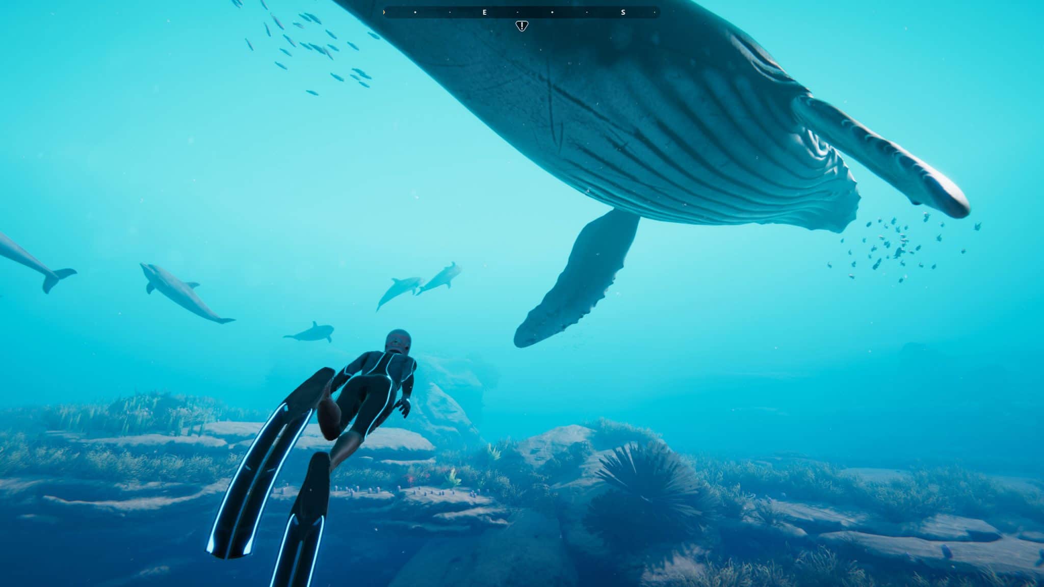 Underwater Exploration Game ‘Beyond Blue’ Gets New Gameplay Trailer Ahead of Launch