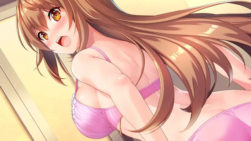 Visual Novel ‘IdolDays’ Launches on Steam in the West