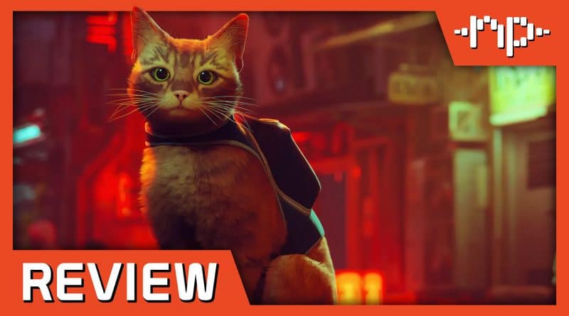 stray review 2