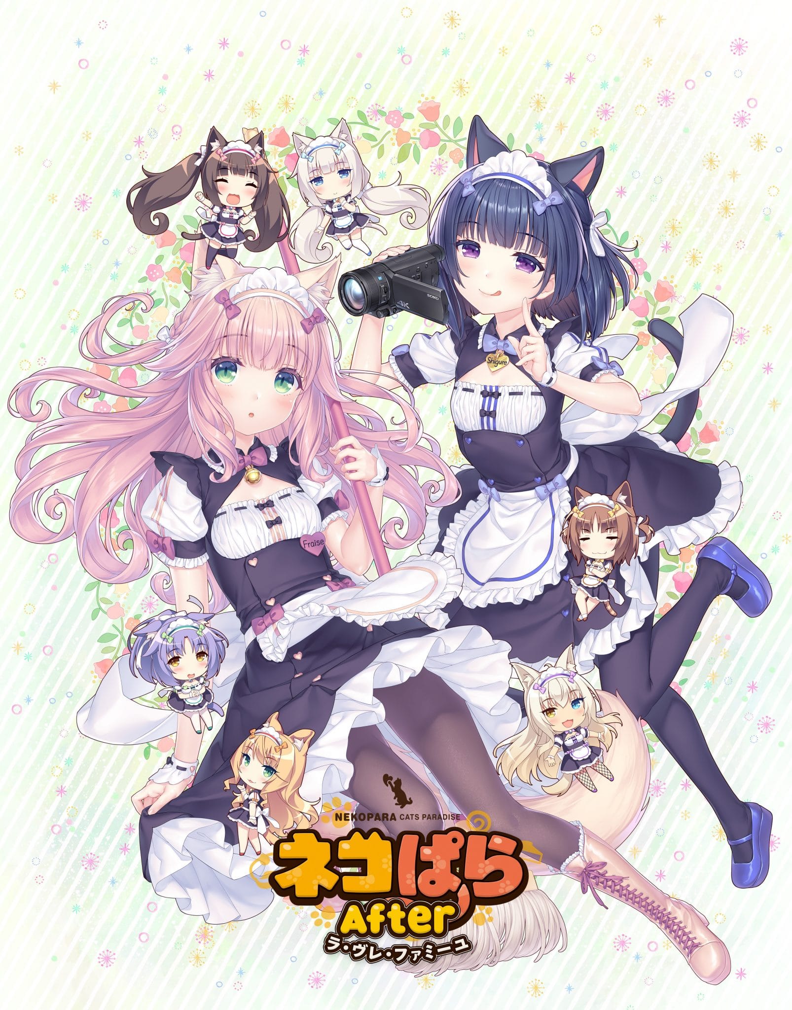 Cat Girl Visual Novel
