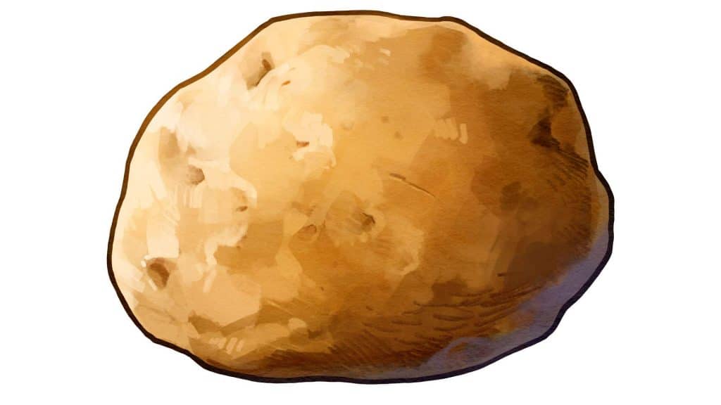 potato ffaq1ycaz