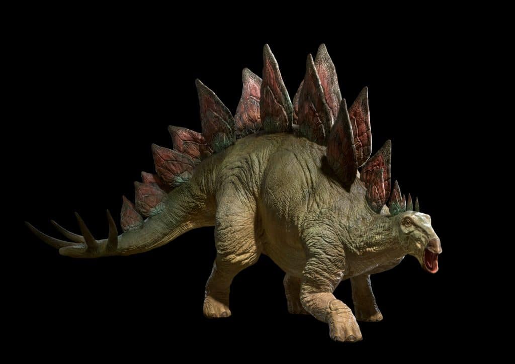 Stegosaurus Art