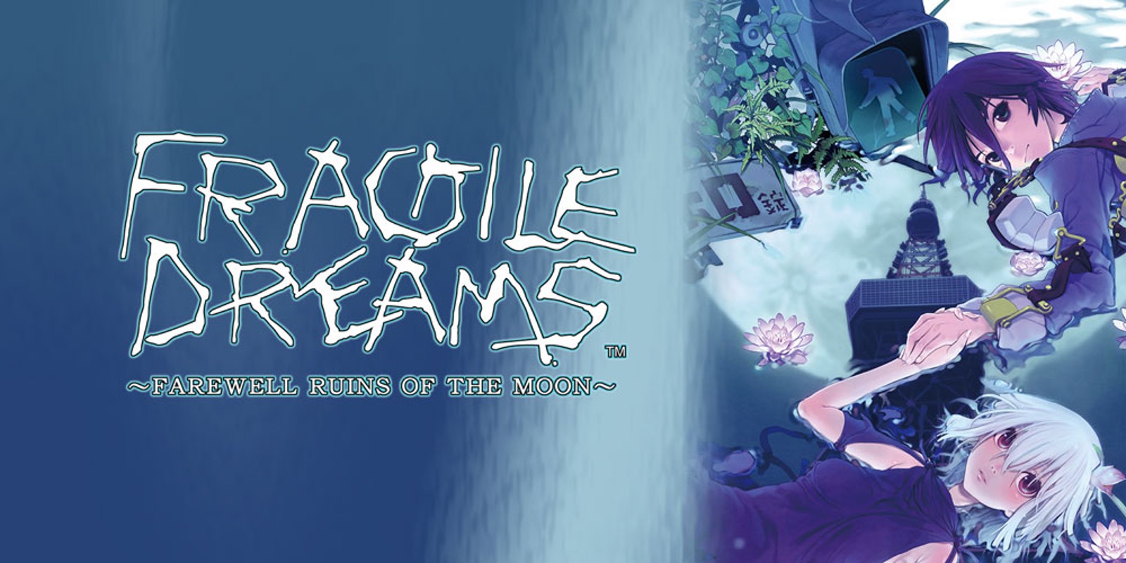 fragile dreams
